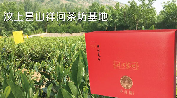 汶上茶叶