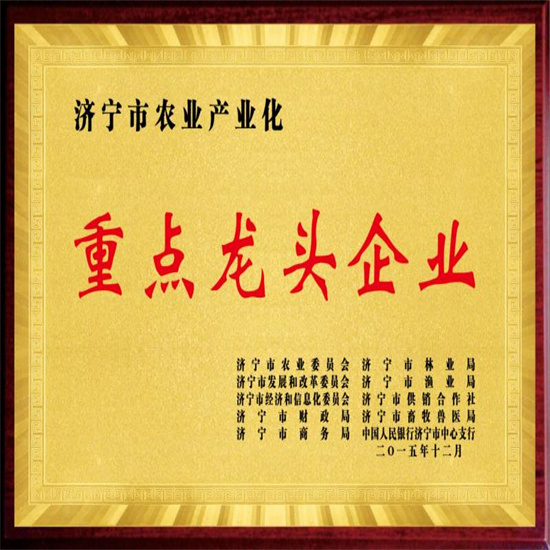 企业资质