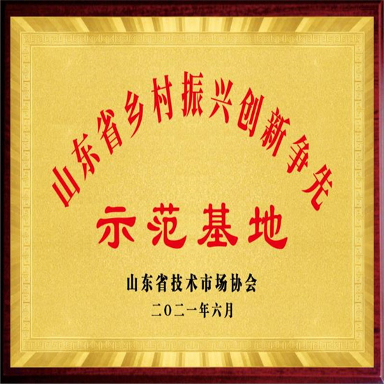 企业资质