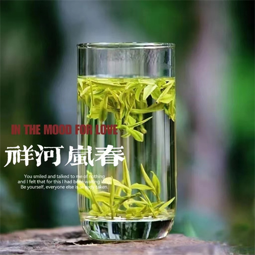 山东茶叶