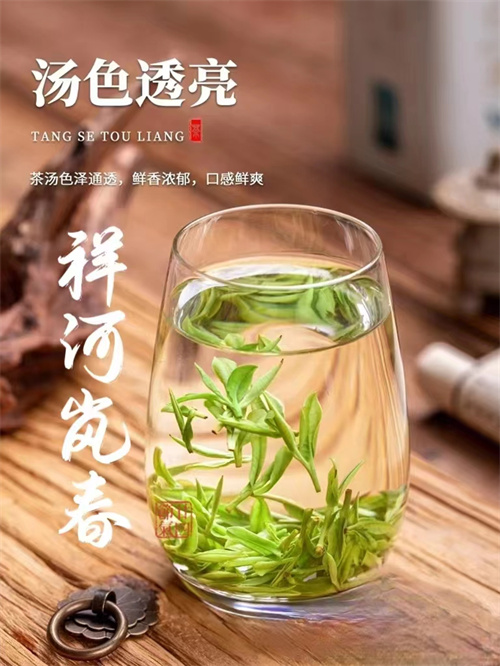 山东茶