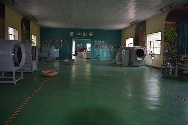 汶上茶叶种植加工基地